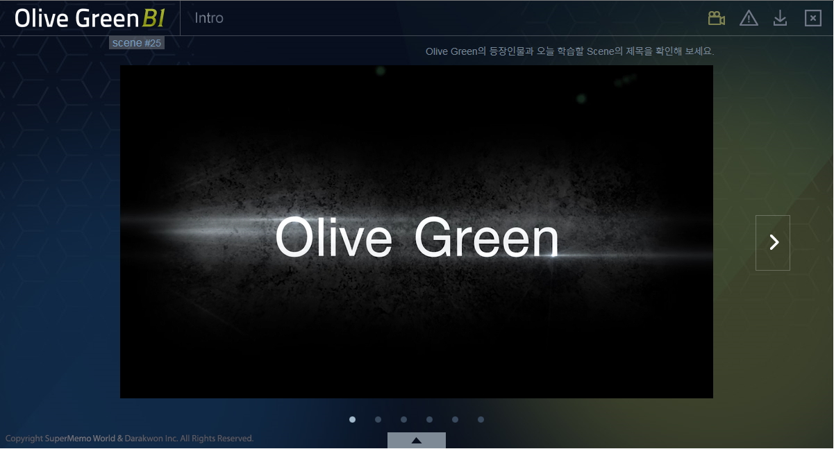 Olive Green B1